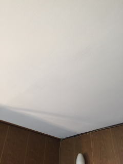 明るくなりました