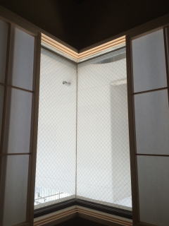 明るくなりました